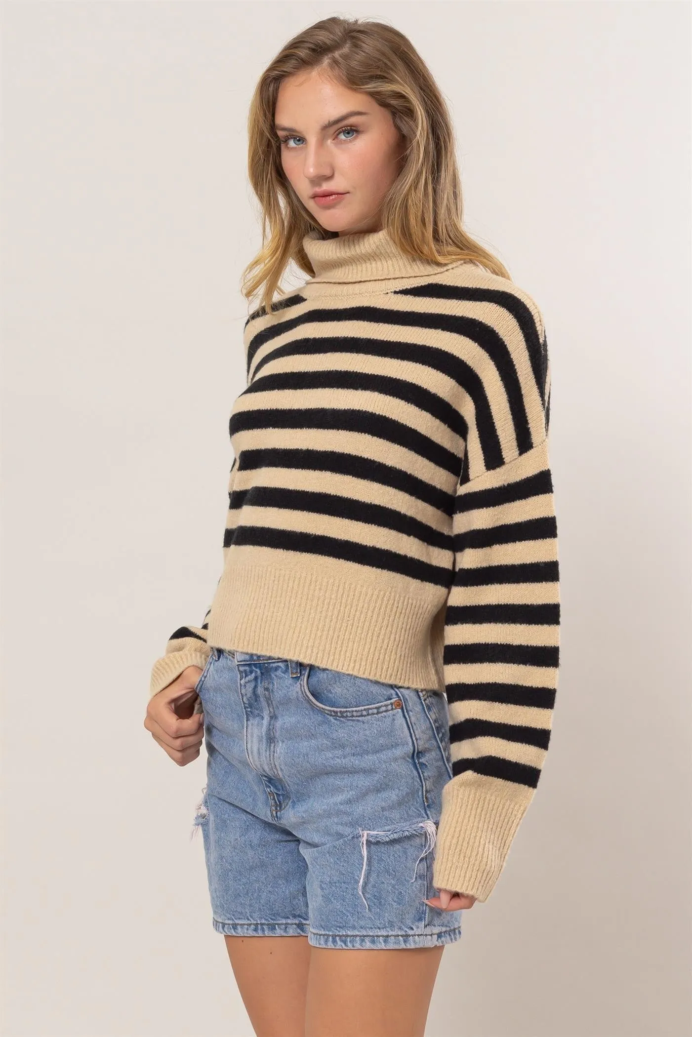 Stripe Turtleneck Sweater