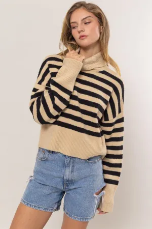 Stripe Turtleneck Sweater